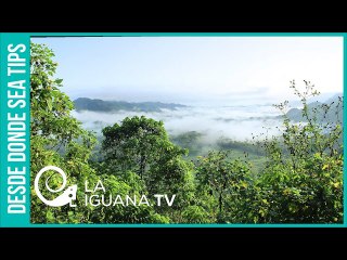 Deforestar la Amazonía para derogar el estado de protección: El esquema criminal de Bolsonaro