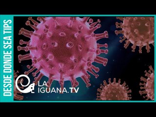 ¿Cuál es el verdadero origen del virus del Covid-19?