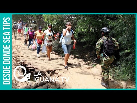 Perù, Ecuador, Panamá y Chile: Los países con mayor persecución contra los migrantes venezolanos