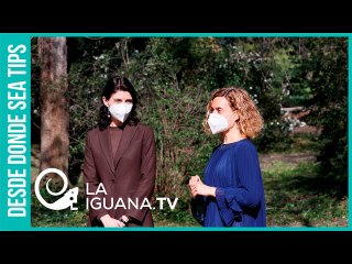 Macartismo del siglo XXI ¿Por qué la extrema derecha va logrando muy buenos resultados electorales?