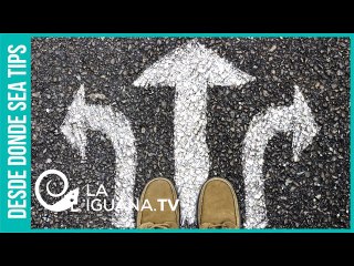 Segunda vuelta presidencial en Ecuador: ¿Cuáles son las alianzas a 3 semanas del voto?