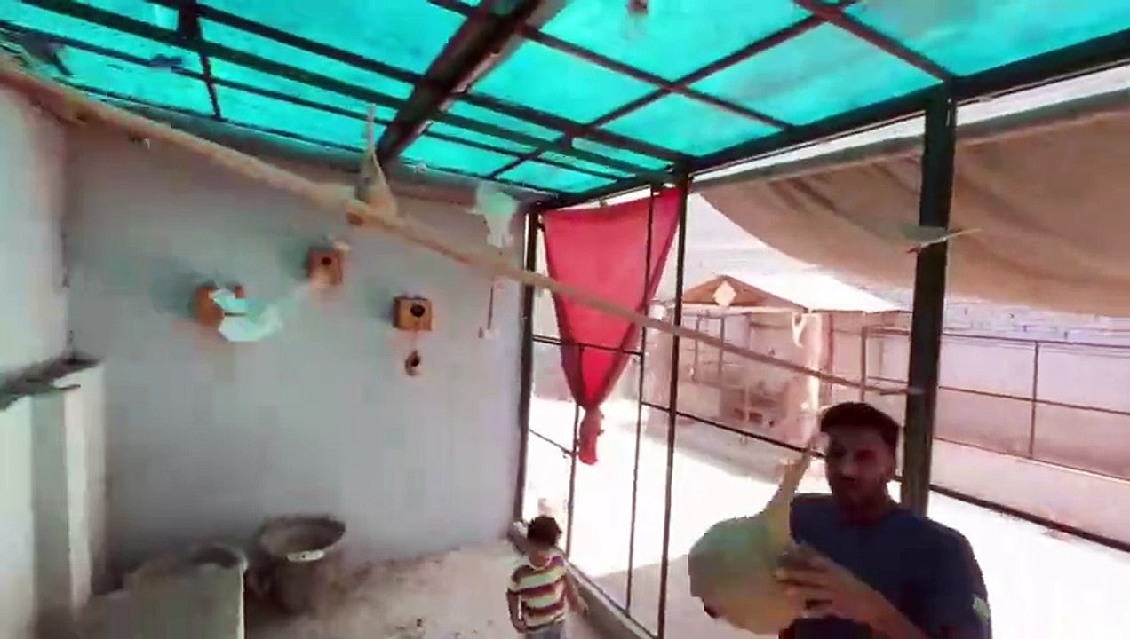 shehar mein dehat ep 37 animal mini zoo Jugoo Ny Aj Sabtain ki Bs Kra DiBht Gussy Main Agea_2