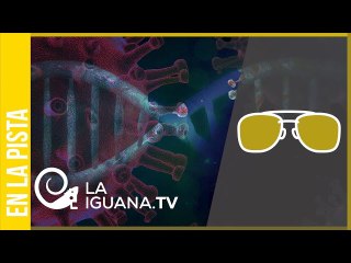 ¿Por qué la variante brasileña es mucho más peligrosa y letal que el Covid-19?