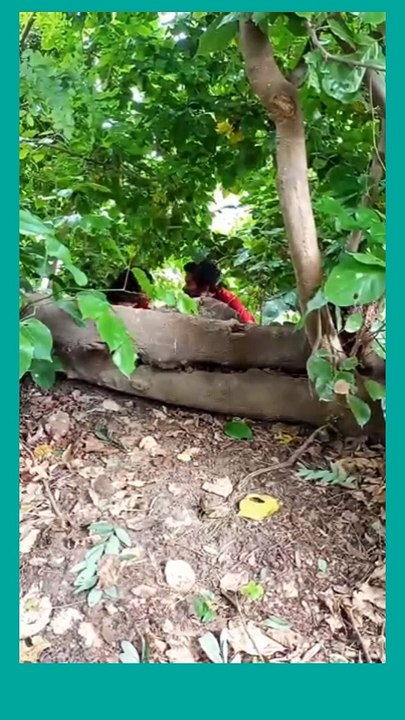 Dasi rajab family vlogs dasi anti_village vlogs daily vlog #short #trending #rajabfamily #mayag(