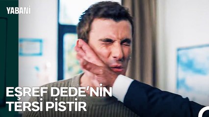 Soysalan Malikanesi #18; Şamar Oğlan IN ⚔ Alaz Oğlan OUT - Yabani