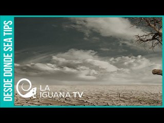 Las previsiones nada alentadoras de los científicos sobre los efectos del cambio climatico