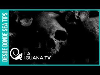 Semillas suicidas: El último ataque de Monsanto a la soberanía alimentaria en Latinoamérica