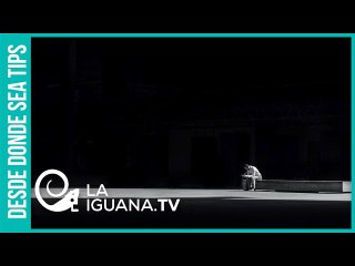 Guaidó está cada vez más solo y marginado: Oposición venezolana quiere participar en las elecciones