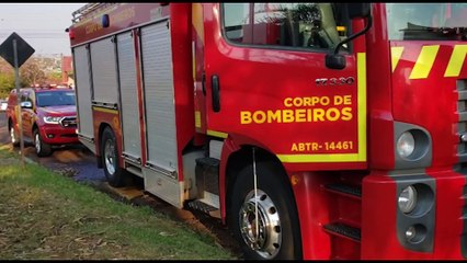 Ataque de pitbull: Vizinho afirma que garotinha de 10 anos conseguiu se soltar de cachorro e se trancou no banheiro