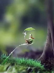 VID-20240904-WA0034