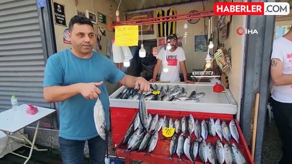 Zonguldak'ta Balıkçılar 4 Günde 100 Ton Palamut Avladı