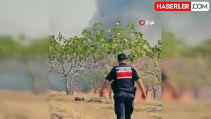 Paşalimanı Adası'nda yangın...Karadan ve havadan müdahale sürüyor