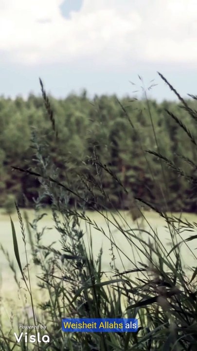 Sura Fatir- Kurzerklärung