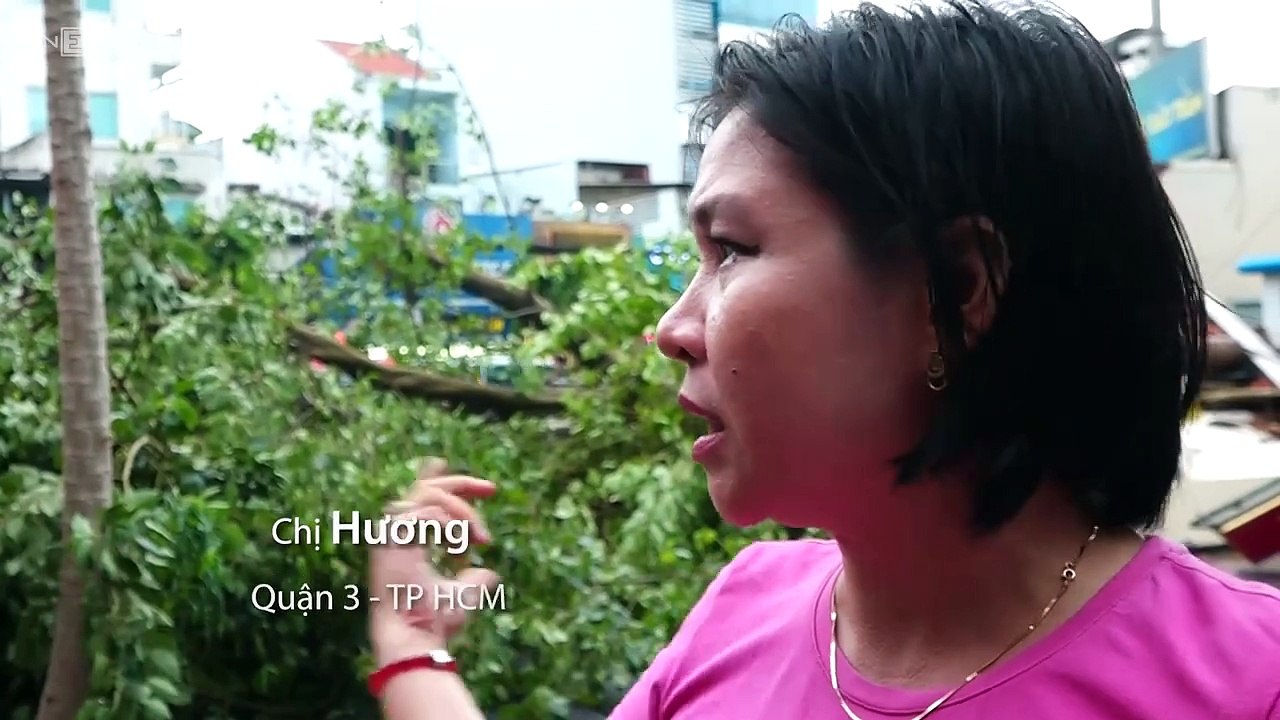 Khoảnh khắc cây đổ đè ôtô ở trung tâm TP HCM