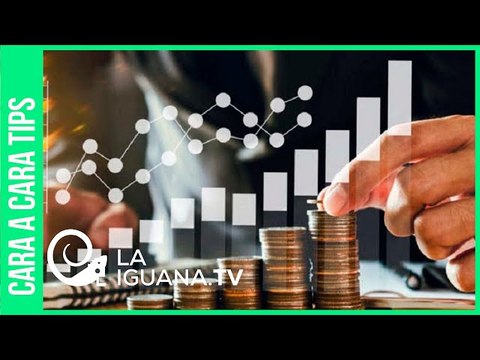 Estas son las Zonas Económicas Especiales que mejor funcionan hasta ahora en Venezuela