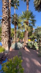L’APAISANT Jardin Majorelle