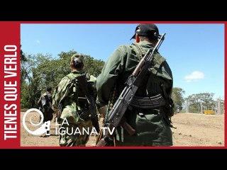 Defendiendo la soberanía de Venezuela: FANB capturó 11 paramilitares en el Estados Apure