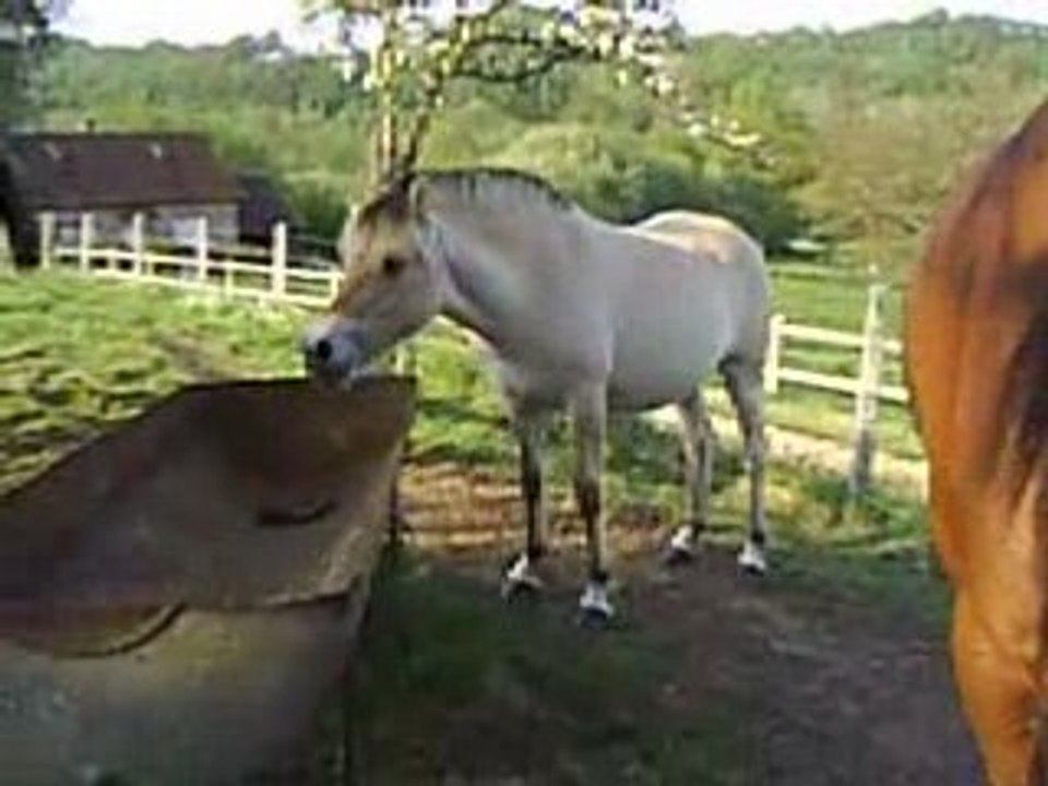 rohanne le 11 mai 2006