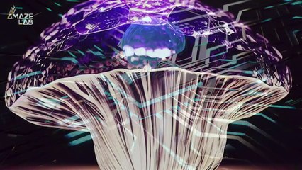 Innovative ‘Roboshroom’ Combines Mushrooms and Robotics for Future Tech 🌱