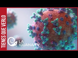 Llegó la variante Delta del Covid-19 a Venezuela: ¿Qué medidas tomará ahora el gobierno venezolano?