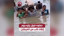 حملوه فوق رؤوسهم .. إنقاذ كلب من الفيضان