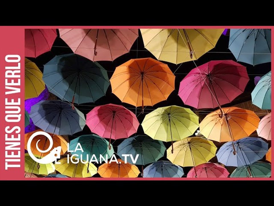 Lluvias, damnificados y casas afectadas: Esto ordenó el presidente Maduro a su gabinete