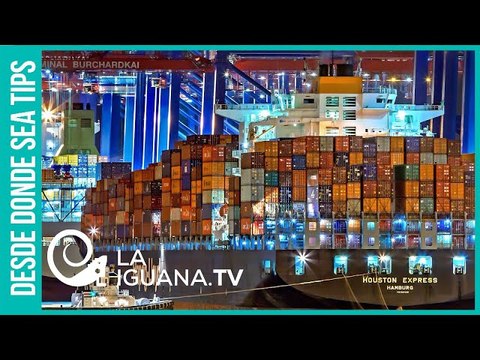 ¿China, Vietnam, Singapur son los modelos a seguir por las zonas económicas especiales en Venezuela?