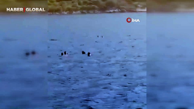Her şeyi göze aldılar: Yüzerek Yunanistan'a geçmeye çalışan göçmenler böyle yakalandı