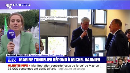 Marine Tondelier (Les Écologistes): "On écrit la crise démocratique à venir"