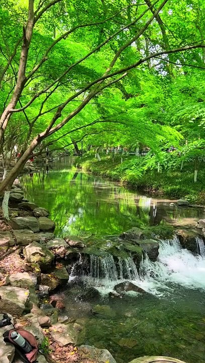 Nature #18