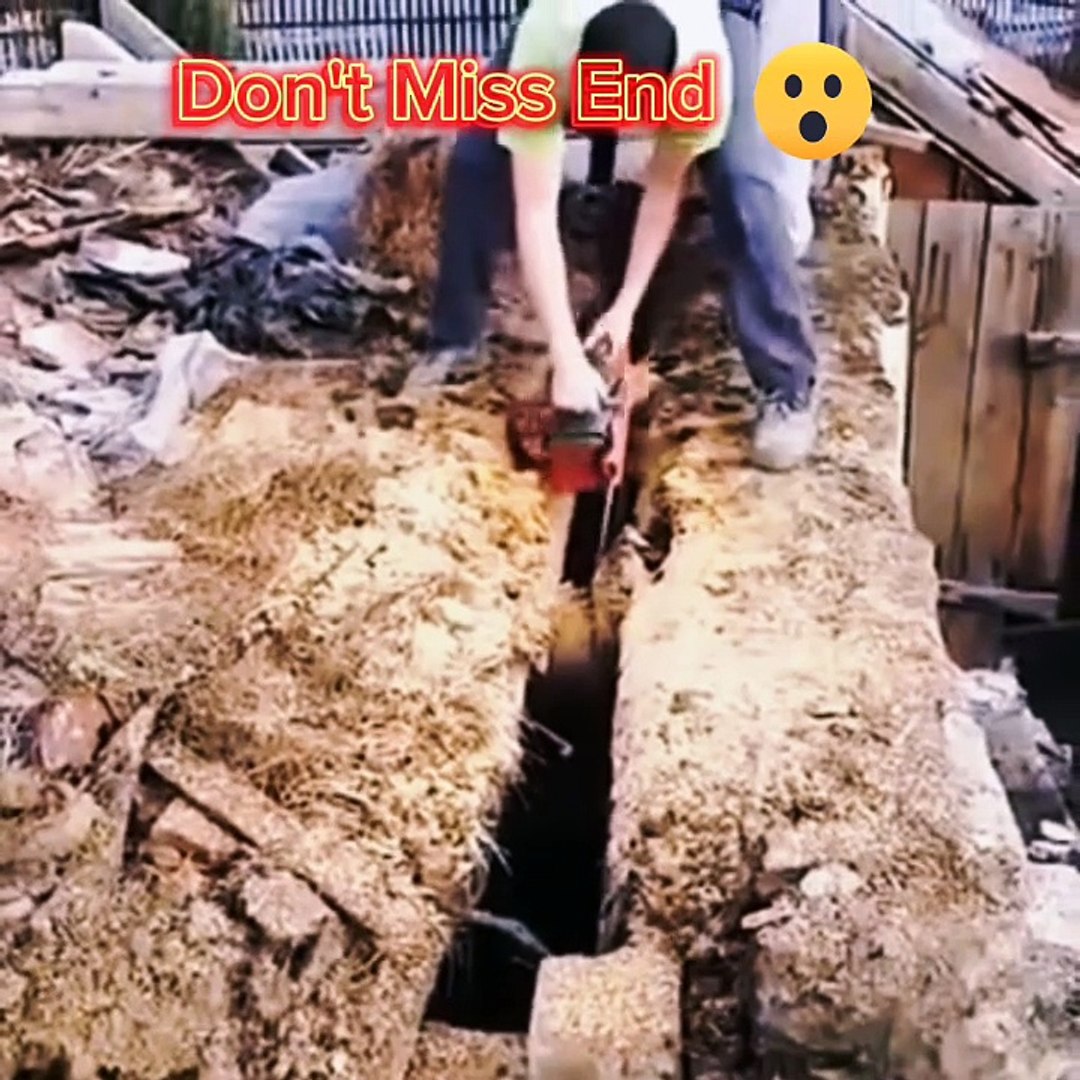 Amazing video Amazing video  | Entertainment video