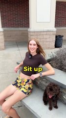 Hilarious Fails and Laugh-Out-Loud Moments