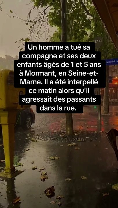 Drame à Mormant : Un homme tue sa compagne et ses deux enfants avant d'être arrêté