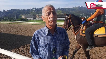 HIPISMO: Luis Rosendo - Entrenador