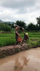 Funny situations Caught on Camera