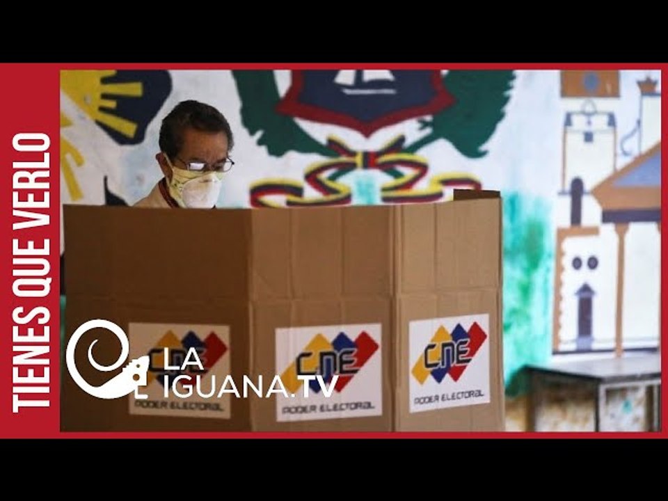 Observador argentino espera un buen nivel de participación en estas Megaelecciones