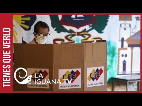 Observador argentino espera un buen nivel de participación en estas Megaelecciones