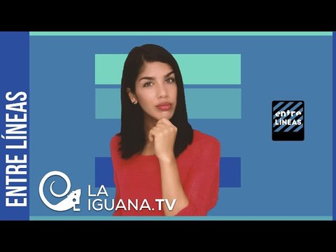 Más de 300 veedores internacionales en las elecciones y la mediática carroñera calla