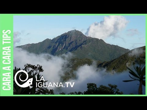 Le interesa: Estas son las actividades productivas que se realizan en el Waraira Repano