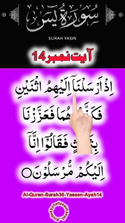 Al-Quran - Surah 36 - Yaseen - Ayah 14 | daily tilawat quran | hafiz salman ali
