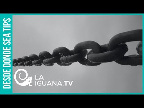 200 años después: ¿Realmente somos independientes o seguimos siendo una colonia en otros términos?