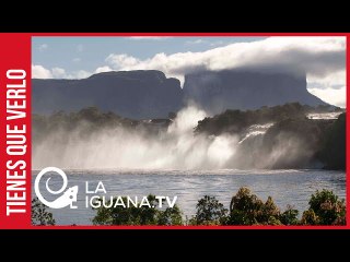 ¿Steven Seagal se mudará con su familia a Canaima?