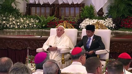 El papa lamenta que algunos prefieran tener “un gato o un perrito” en vez de hijos