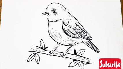 How to draw a bird sitting on a branch __ Sparrow drawing