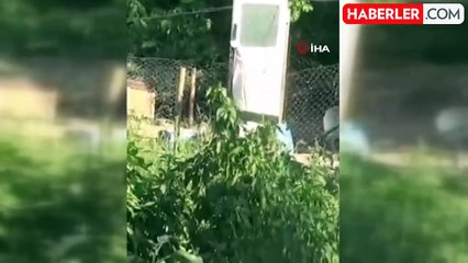 Çanakkale'de telefonla görüntülediği Bozyörük yılanın saldırısına uğradı