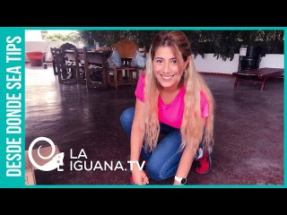 La "joyita"Jeycar Pérez: Exdiputada clave en la red de narcotráfico que asalta a Venezuela