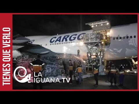 Lucha contra la covid en Venezuela: Llegaron 17 toneladas de insumos médicos (+Belarús)