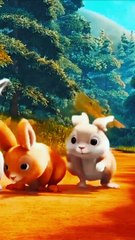 Rabbit  video, rabbit animal, rabbit song lyrics, rabbit animal kids