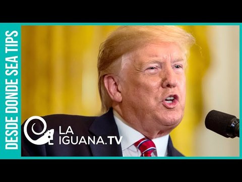 Trump se jaló la peluca: Nord Stream 2 es un tragedia y cosa horrible para los intereses gringos