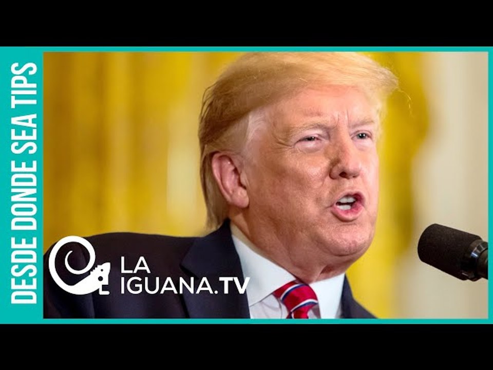 Trump se jaló la peluca: Nord Stream 2 es un "tragedia y cosa horrible" para los intereses gringos